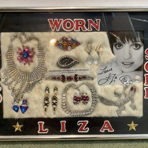 11 Liza Minnelli Autograph & Personally Owned Jewelry Framed 22” Display & David
